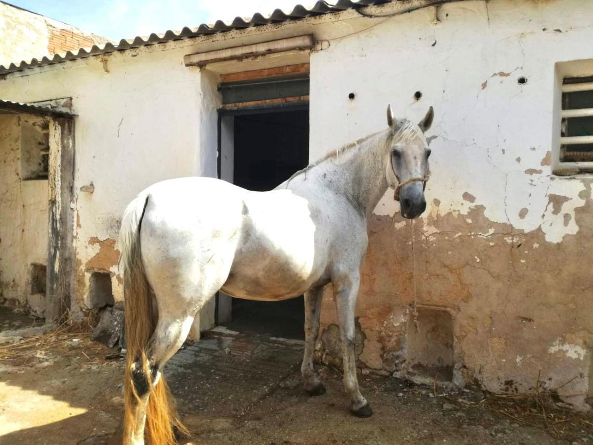 Las Maravillas De Manuel By Solymar Holiday Malaga Ngoại thất bức ảnh
